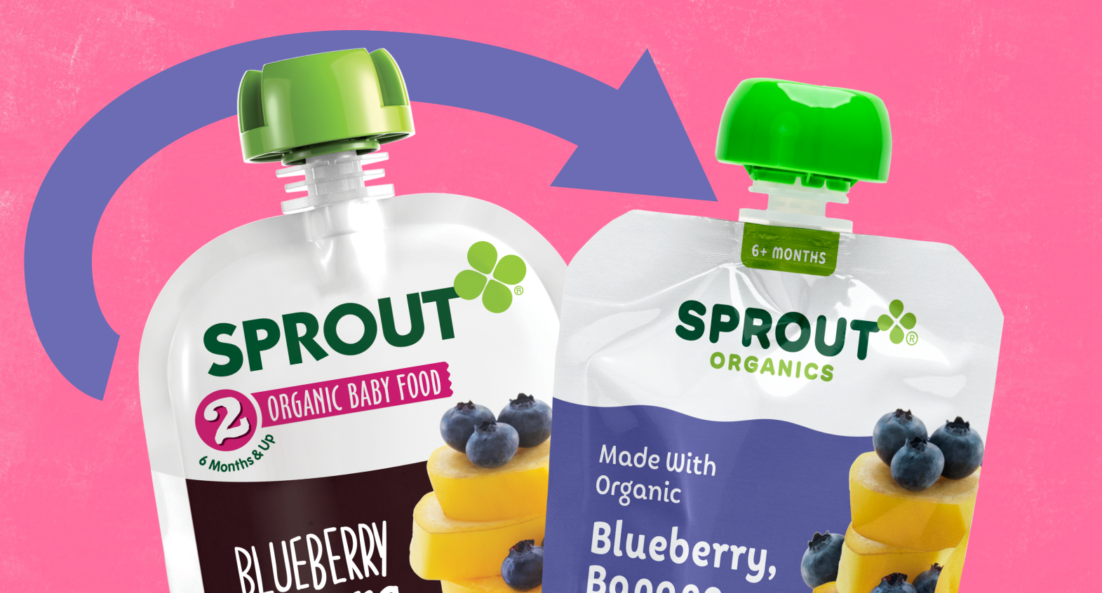 Organic baby food for 6 outlet month old