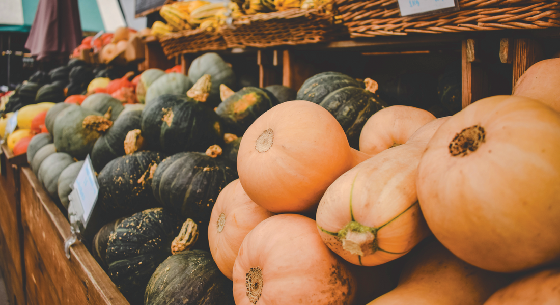 The goldilocks of squash