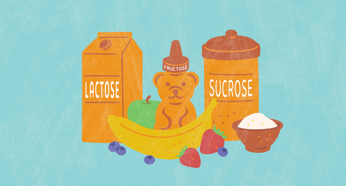illustrated images of different types of sugar