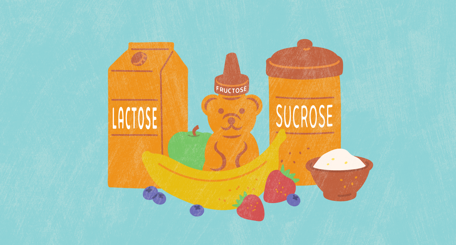 illustrated images of different types of sugar