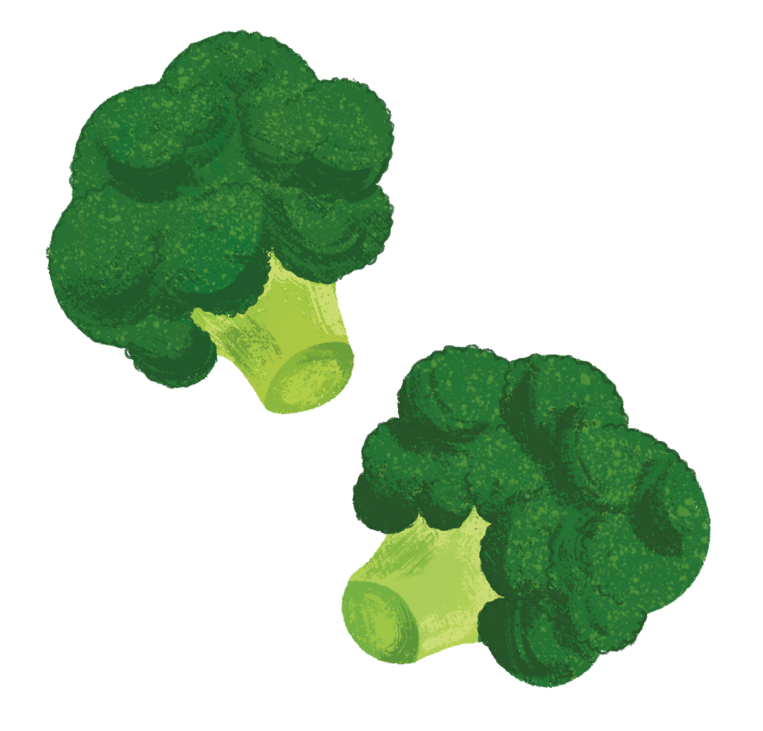 Sprout Organics