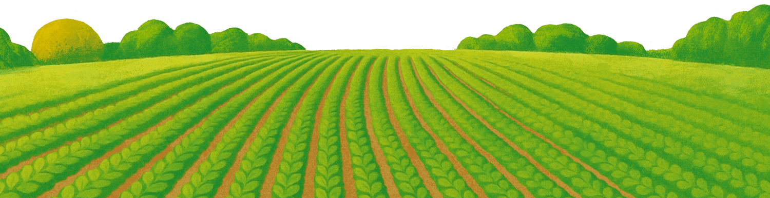 Sprout Organics